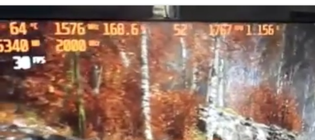 rx590 rx590